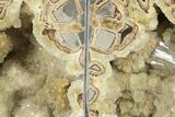 Crystal Filled Septarian Geode Bookends - Utah #231082-1
